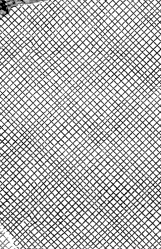 X 0000: % SR 0’0;:20:020} SRR GRS KRS KX QBRI